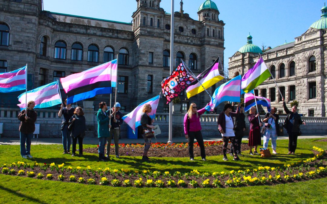 Healing beyond healthcare: Fostering support with trans and gender-diverse communities