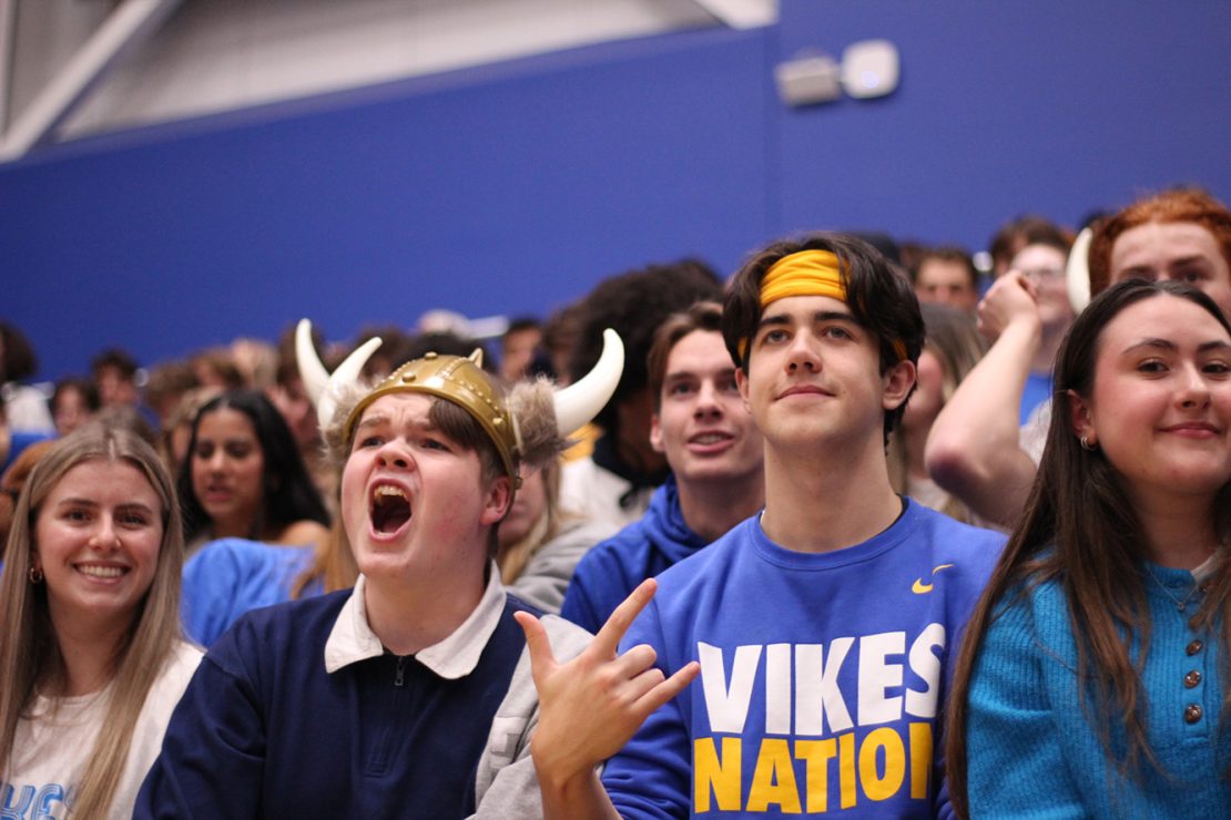 Vikes