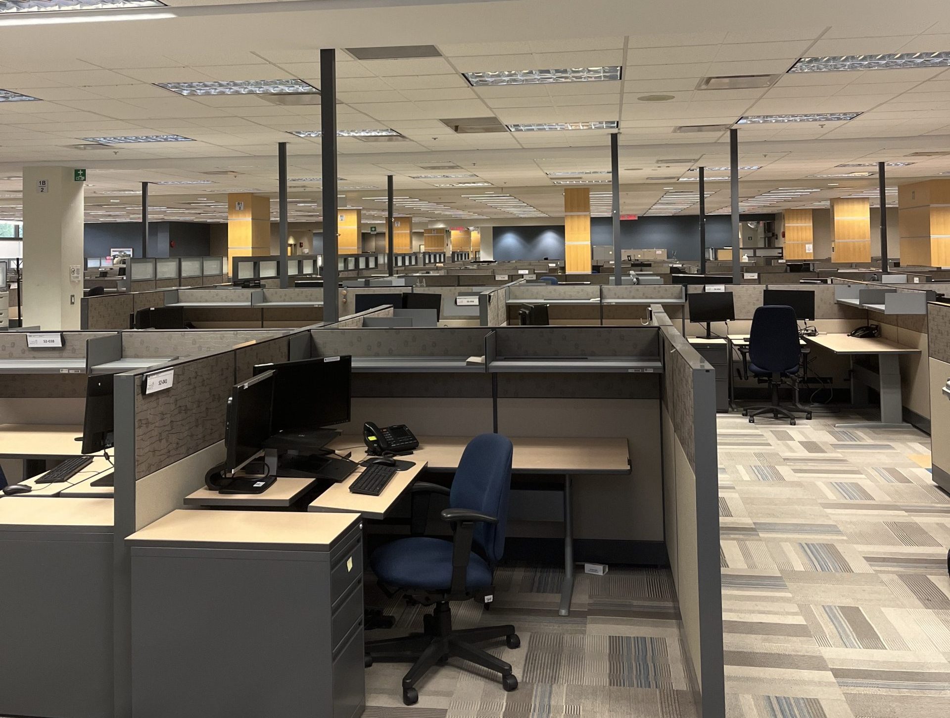 Photo by Sajjan Sarai.