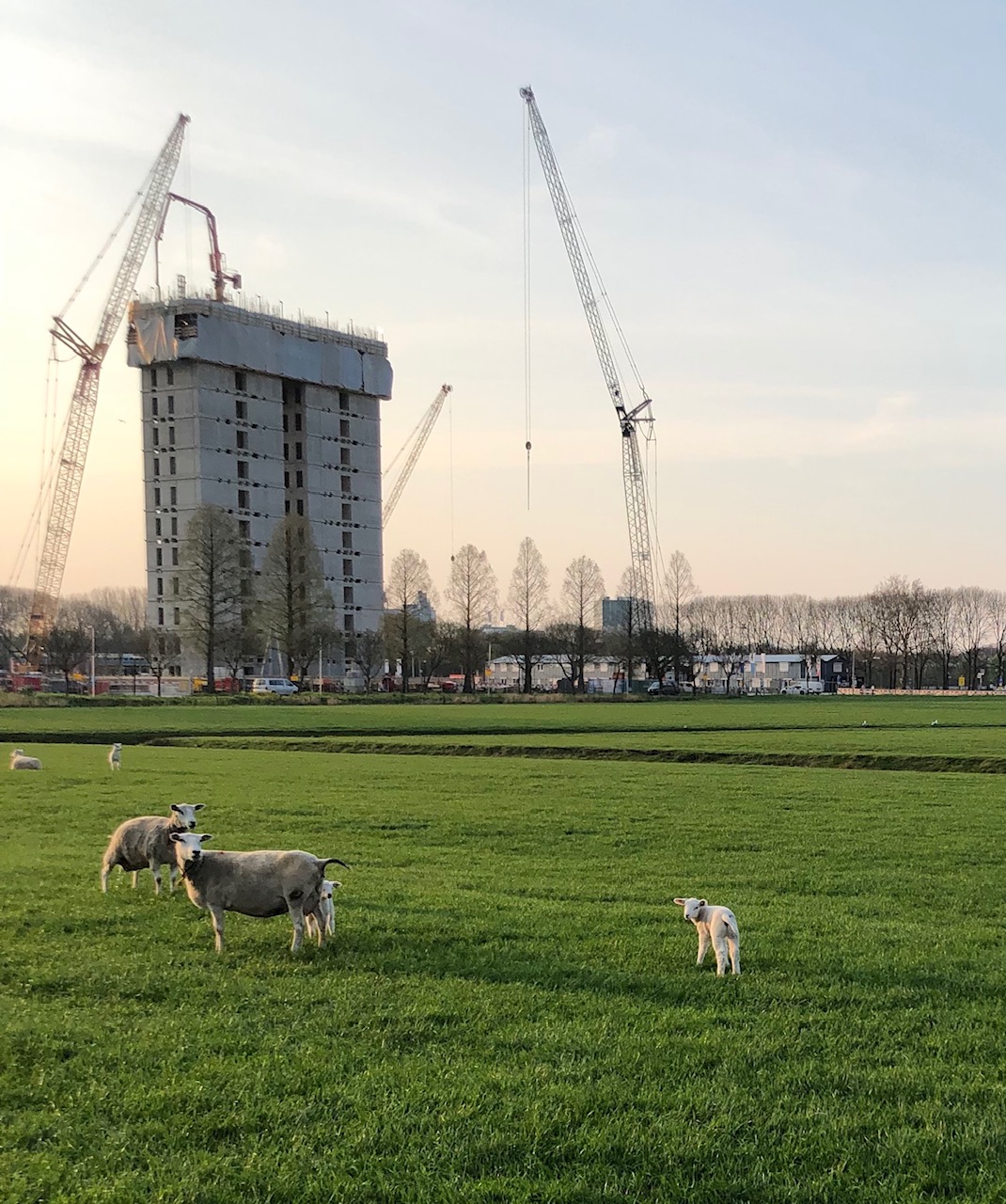 Netherlands student housing