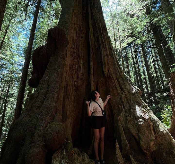 Three years after the Old Growth Strategic Review, 13 recommendations remain unmet