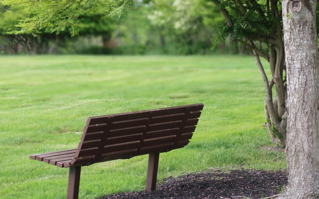 Good grief: A call for academia to better support bereaved students