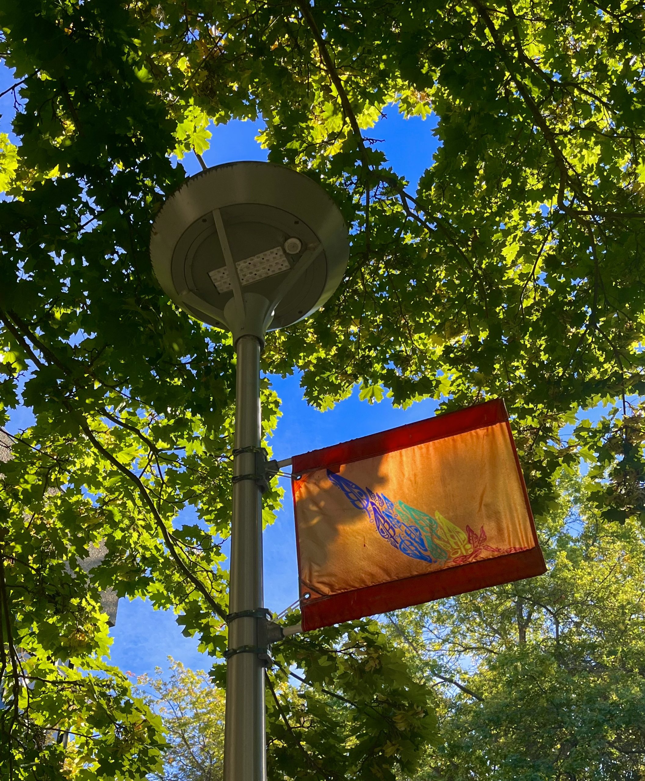 UVic Indigenous Plan 2023