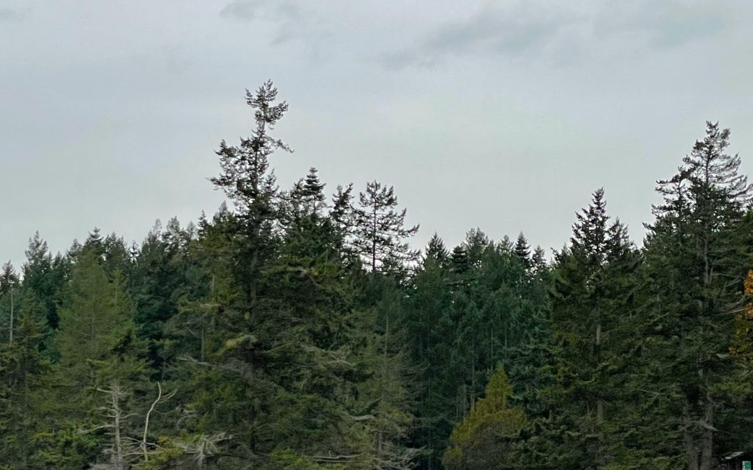 A camping revelation: Why you should spend time in nature