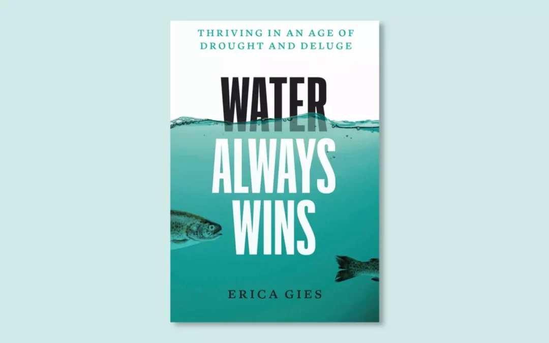 ‘Water Always Wins’: A vibrant investigation into water’s autonomy