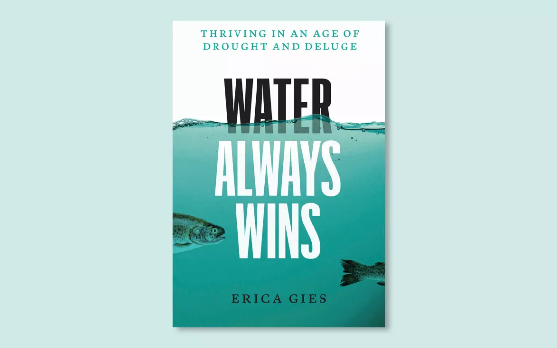 Water Always Wins