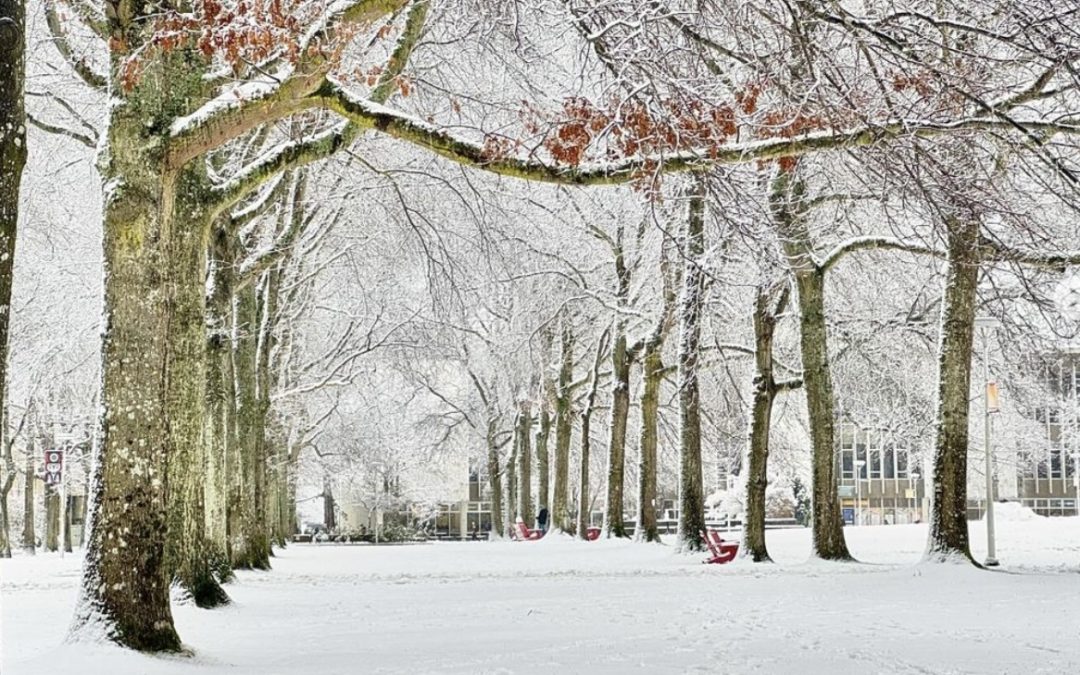 UVic’s ‘negligence’ during snowstorm prompts backlash after student injuries