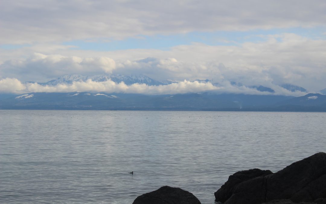 Three little known Vancouver Island hikes to check out this season 