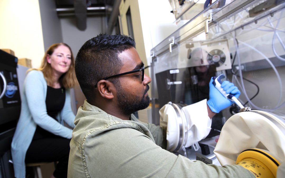UVic researcher receives five-year grant to develop syphilis vaccine