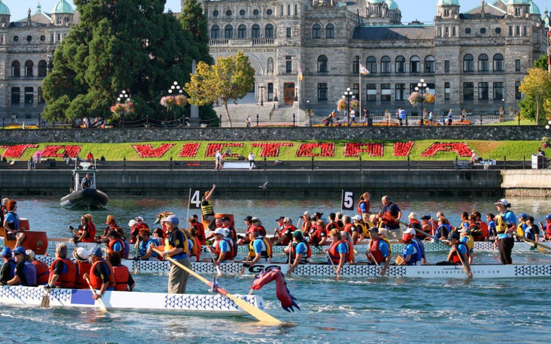 The 27th annual Dragon Boat Festival had something for everyone