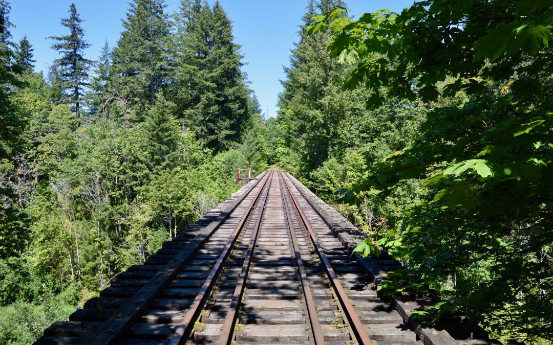 ‘We have all the tracks. It just needs to be fixed’