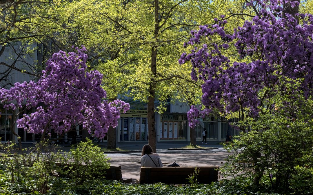 Eight things to do between classes this fall semester