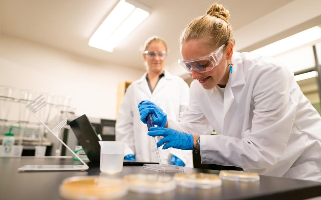 How to gain research experience as an undergraduate student