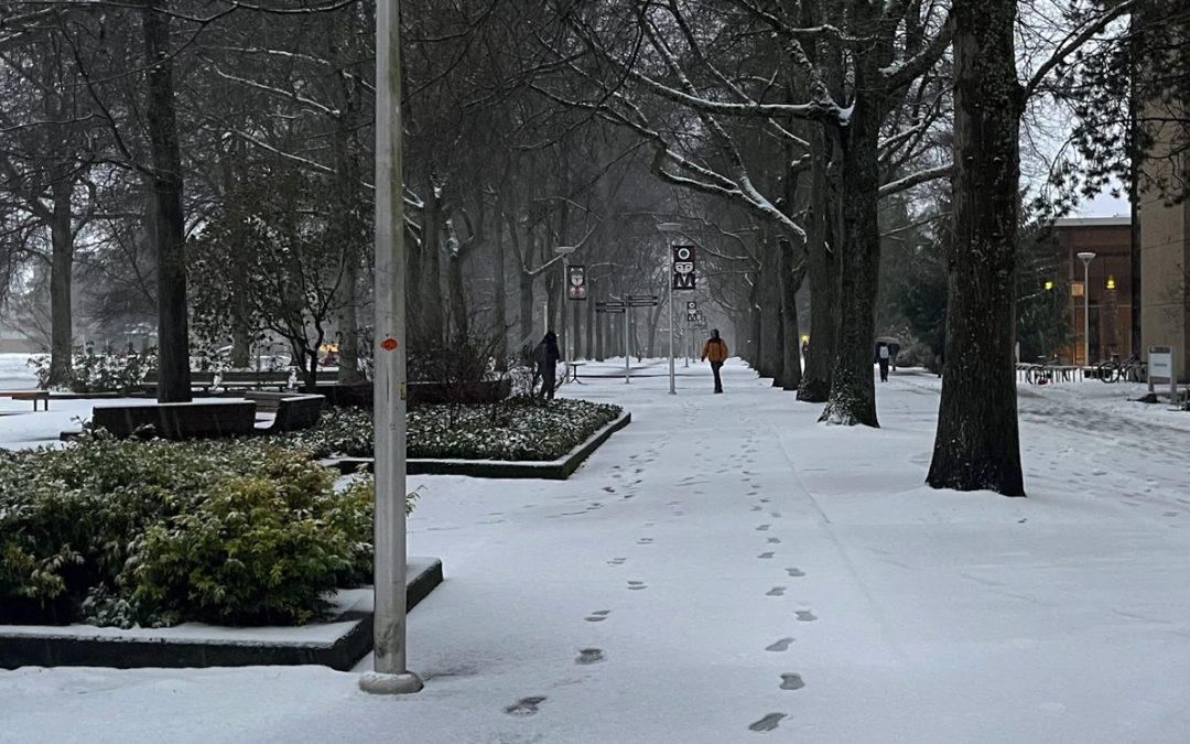 What is it like to live on campus over winter break?