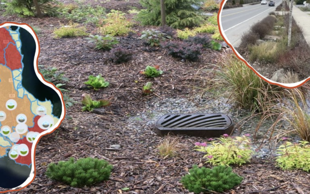 Local initiative seeks to map 1 000 rain gardens on southern Vancouver Island
