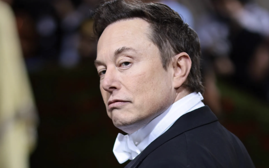 Elon Musk’s ‘unelected shadow government’ is a genuine threat to Canada