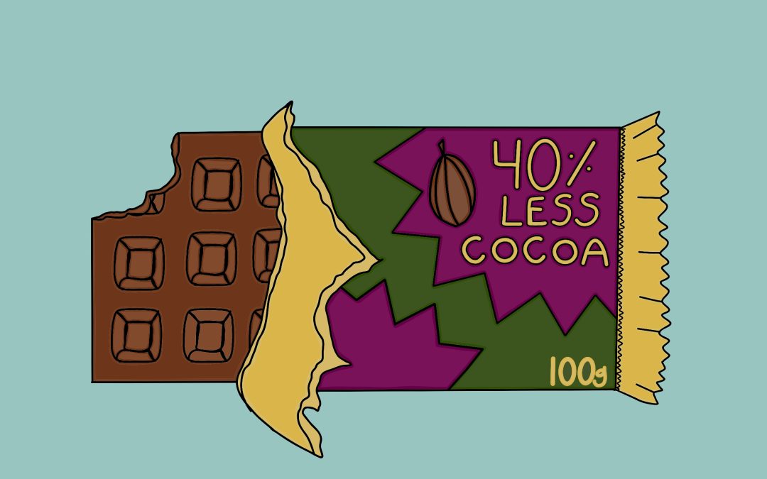 UVic professor leading research on agroforestry and the global cocoa shortage