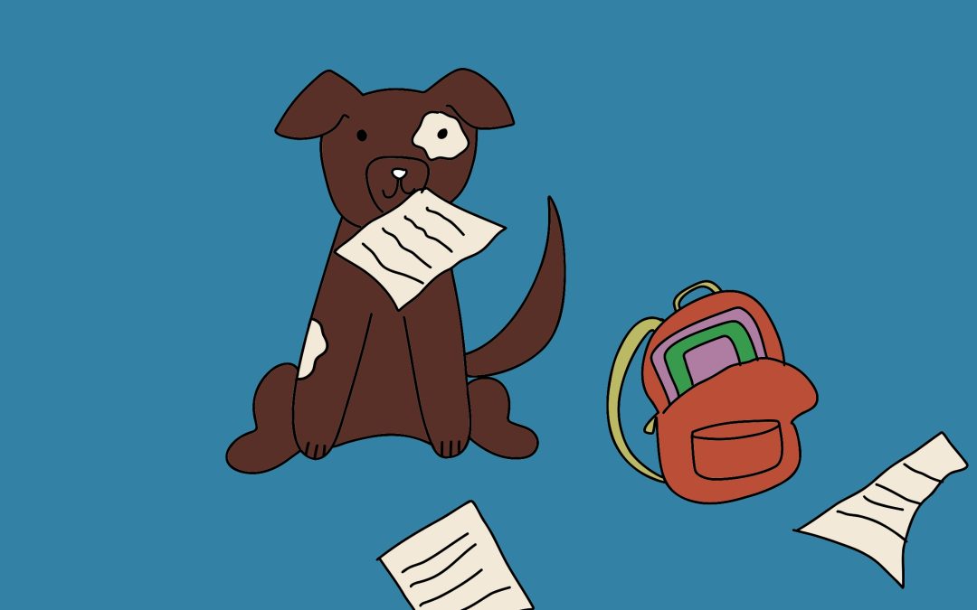 Three terrible excuses for being late to class