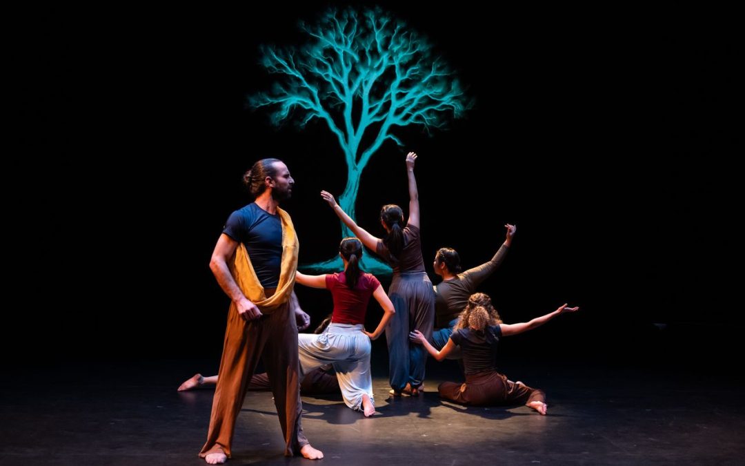 Phoenix theatre’s opening show doesn’t stick the landing