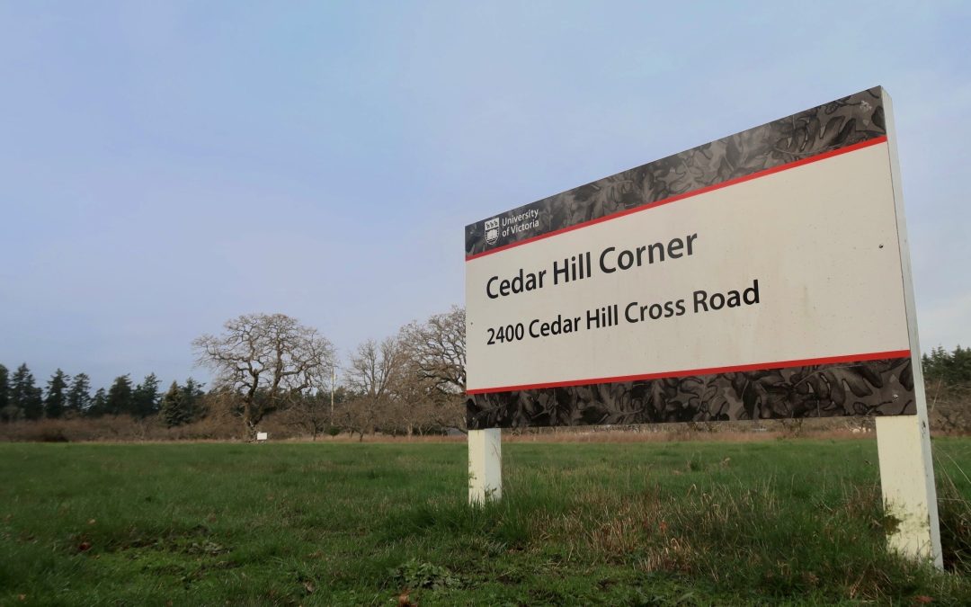 UVic looking to develop properties on the edges of campus