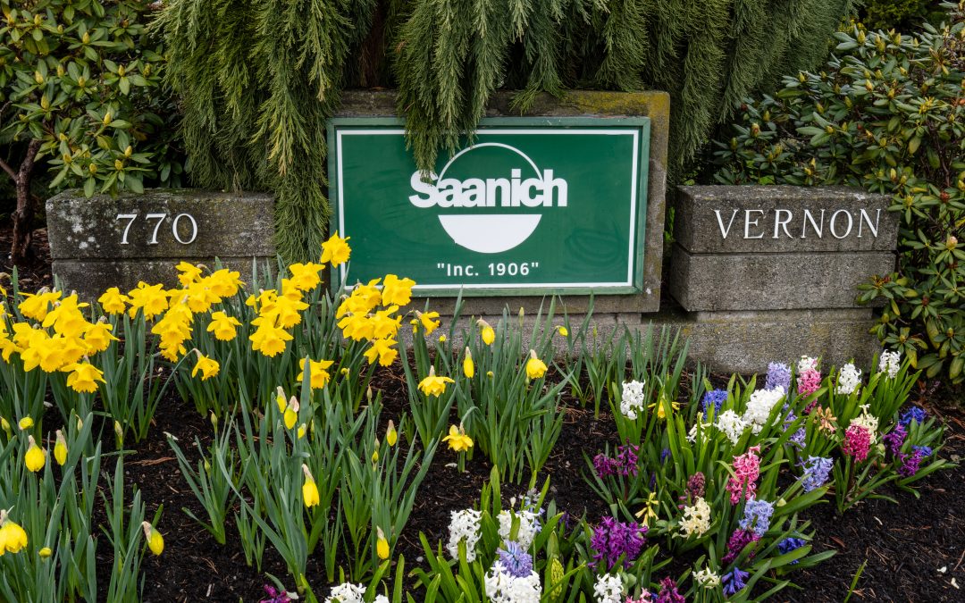 Saanich Council overwhelmingly supports UVic student housing expansion at May 4 meeting