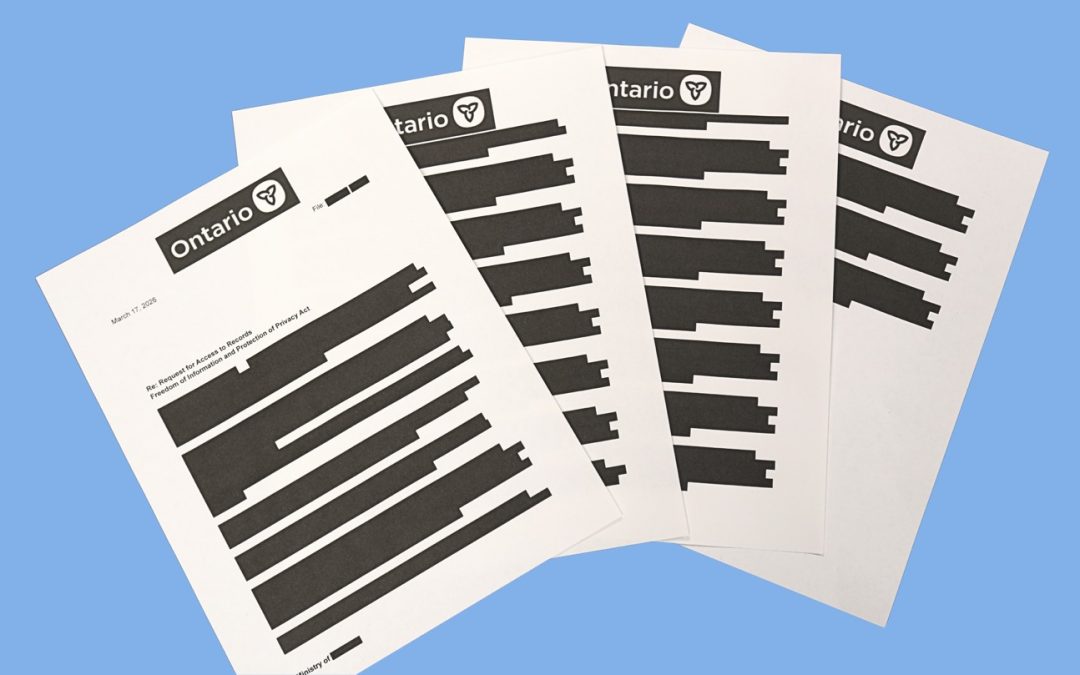 Attacks on access to information laws are attacks on democracy 