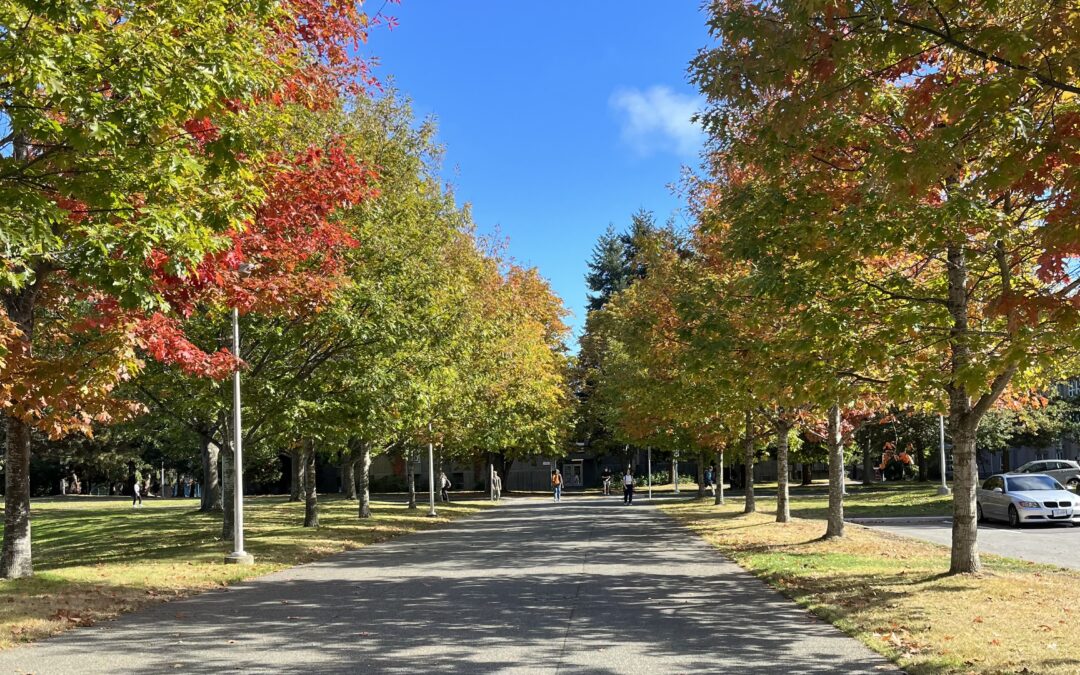 Seven low-barrier classes to try this fall