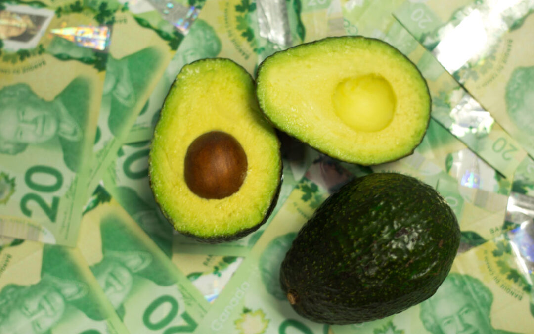 The hidden cost of avocados