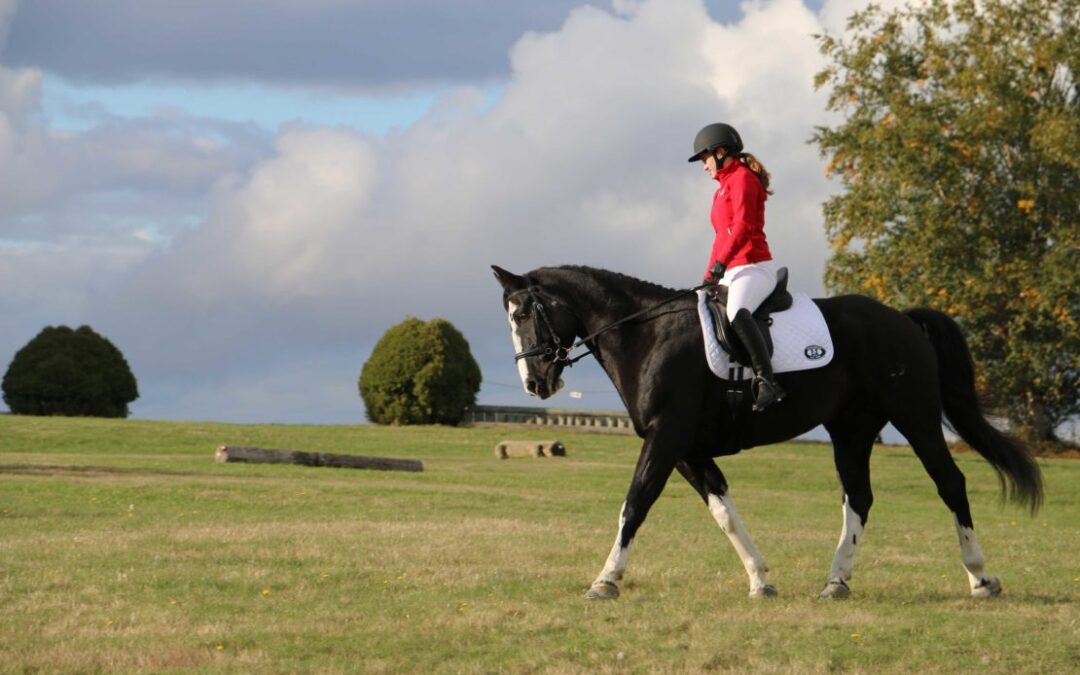 The benefits of horsing around