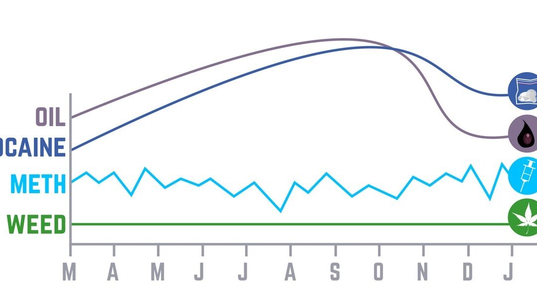 Low oil prices hurt everyone