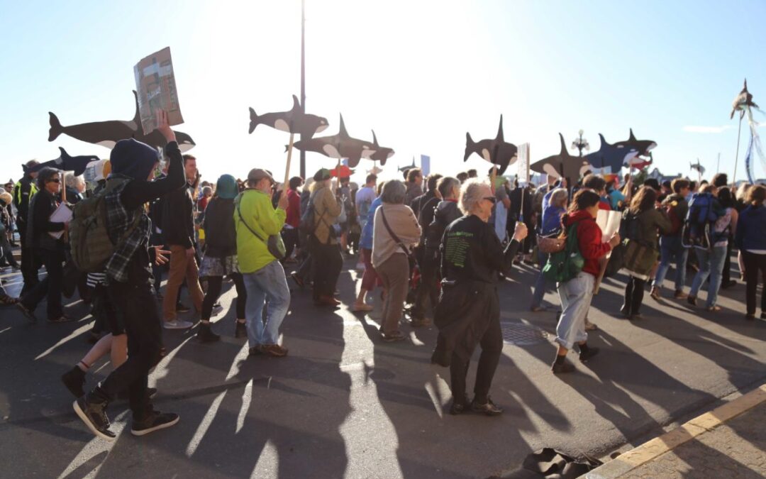 Here’s what you missed at UVic this summer