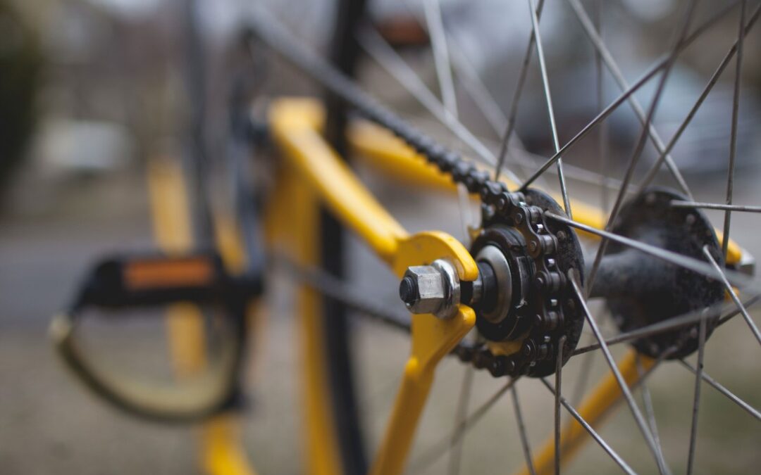 Lack of training opportunities for bike mechanics problematic