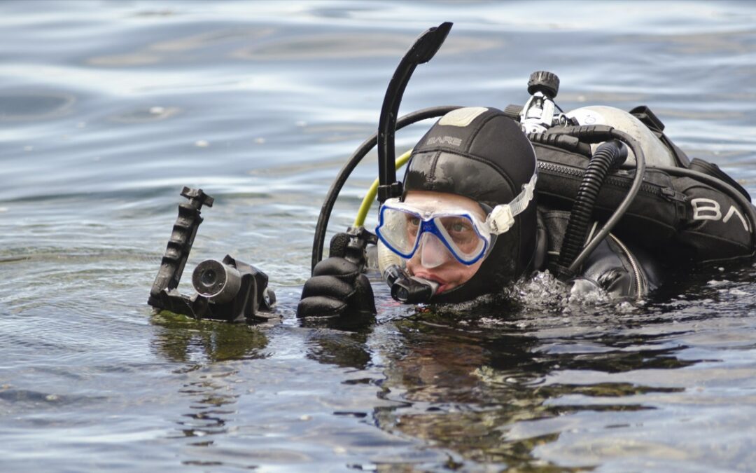 Fish Eye Project connects viewers with an underwater world