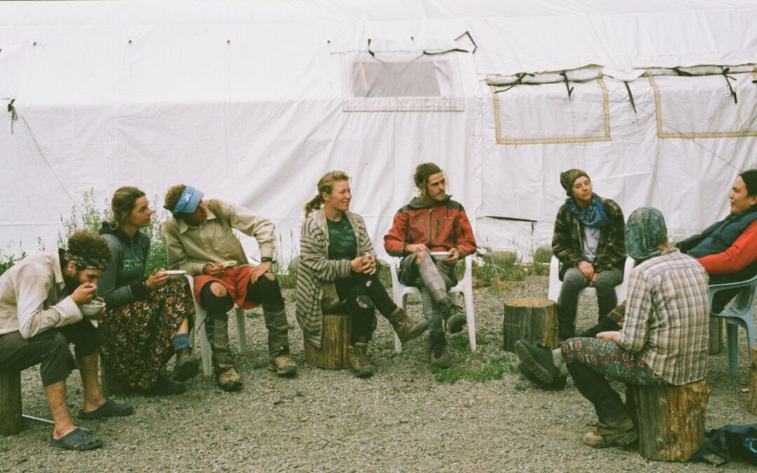 Dirt bag geniuses: How planting trees gives artists room to grow