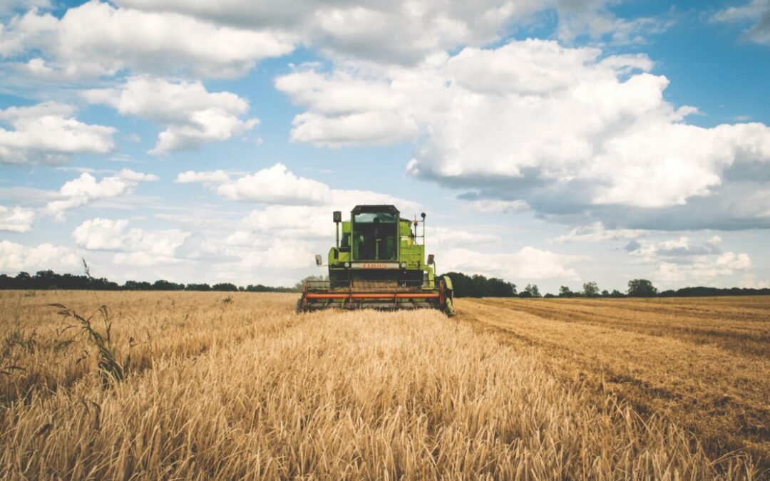 GMO backlash takes root in Department of Environmental Studies