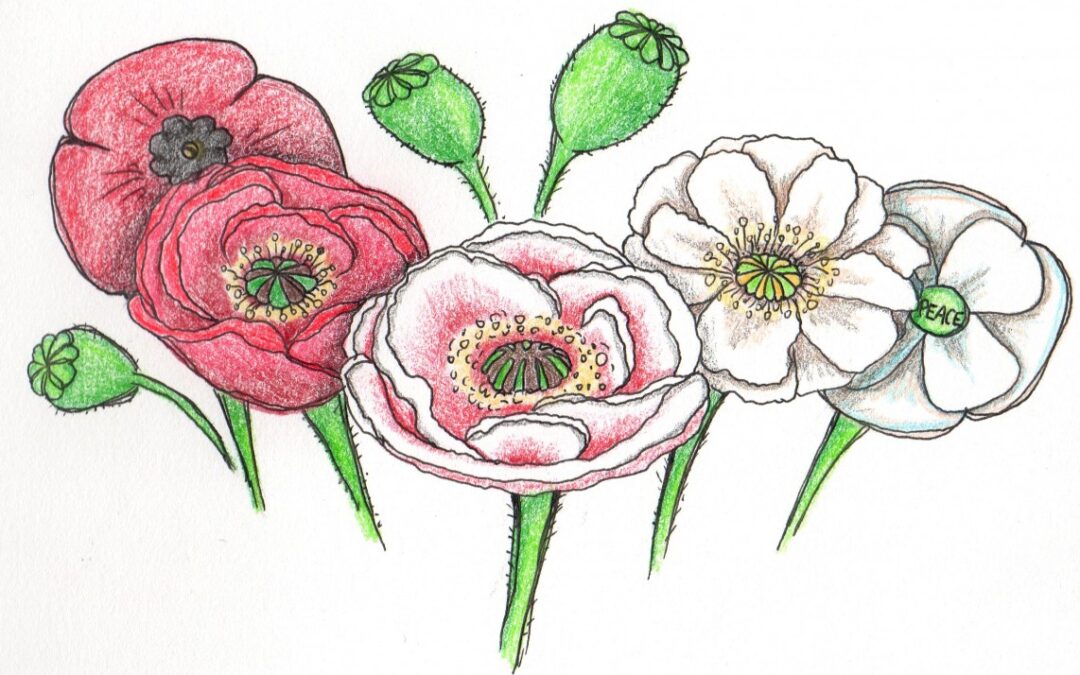 Don’t whitewash tradition: Keep the red poppy