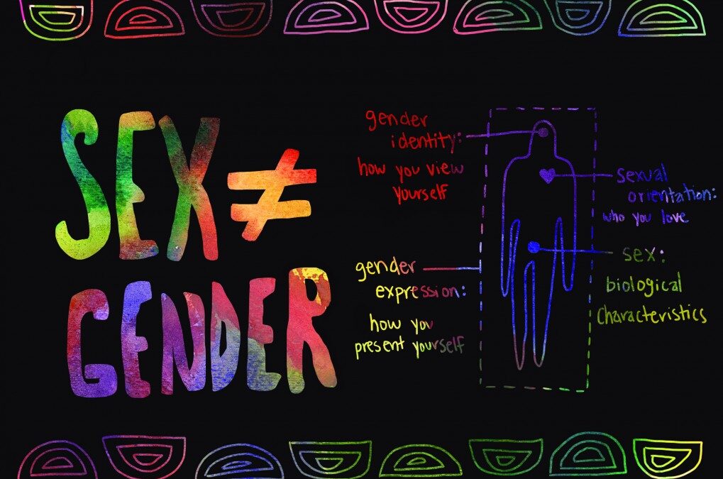 What we talk about when we talk about gender